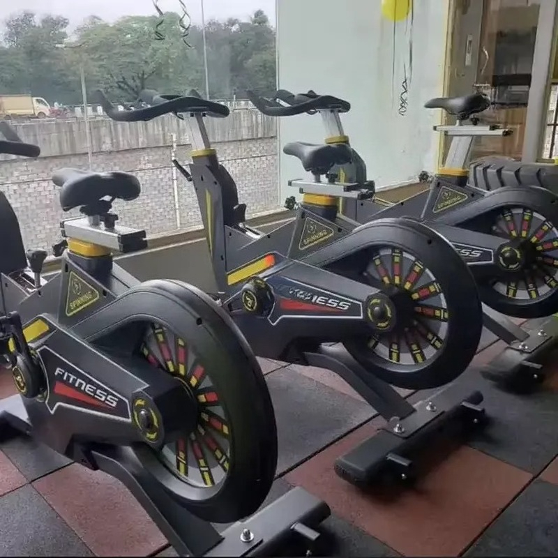 Kommerzielles Spinning-Bike In – Home Gym Exercise Bewertung und Preis